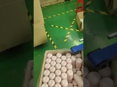 machines d'impression à sérigraphie et d'emballage